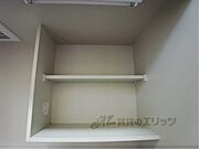 棚