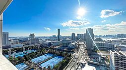 高層階×南西向きならではの開放感ある眺望はとても素晴らしいです。（売主コメント）