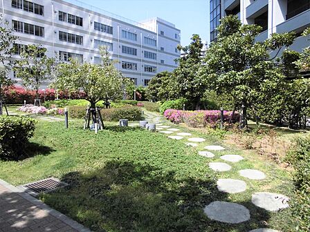 屋上庭園