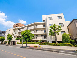 ドミール川口