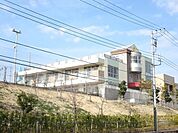川崎市立はるひ野小学校 316m