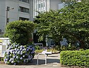 花壇や植栽がきれいに手入れされ、木陰のベンチでのんびり過ごすことができます。