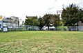 緑の広場42号...