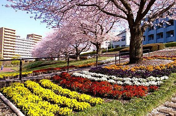 かにがさわ公園...