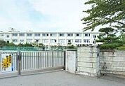 伊勢原市立成瀬中学校 徒歩6分。 460m