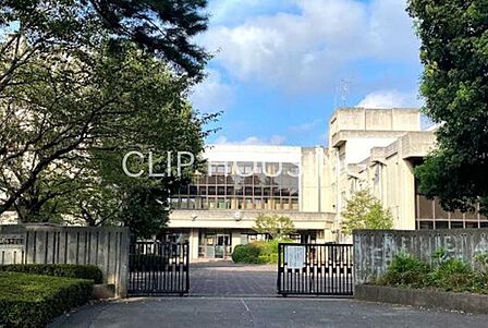 相模原市立由野台中学校 徒歩17分。 1350m