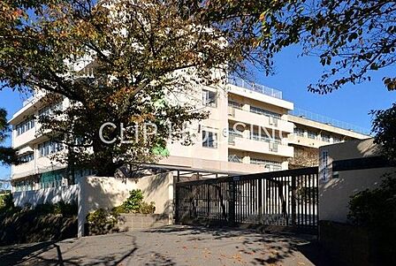 海老名市立海老名小学校 徒歩6分。 450m