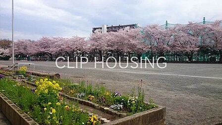 相模原市立鶴の台小学校 徒歩11分。 860m