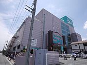 ニトリ 298m