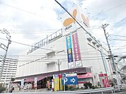 ダイエー鴨居店 1716m