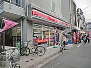 ポプラ 288m