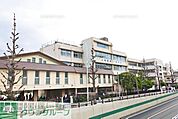 板橋区立上板橋第一中学校 徒歩54分。 4250m