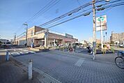 エコスTAIRAYA武蔵藤沢店 1063m
