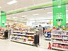 周辺：セブン美のガーデン拝島店 その他 1376m
