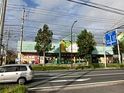 ダイソー 1600m