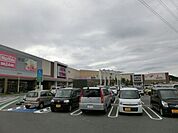 イオン 2000m
