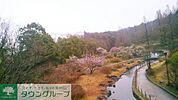 泉谷公園 徒歩13分。 1010m