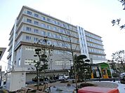 医療法人柏葉会柏戸病院 徒歩11分。 880m