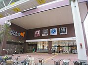 ダイエー赤羽店 641m