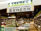 わくわく広場ららぽーと湘南平塚店 徒歩13分。スーパー 980m