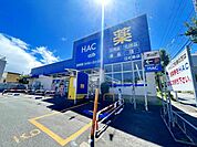 ハックドラッグ江の島店 徒歩11分。 840m