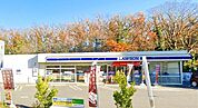 ローソン茅ヶ崎殿山公園入口店 徒歩6分。 420m
