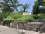 太宰府小学校まで　1900m　徒歩約24分●教育目標「自分で考え、行動できる太宰府が大好きな子どもの育成」