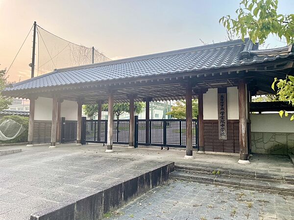 周辺を拡大表示