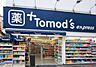 周辺：トモズ元住吉店(ドラッグストア)まで608m