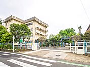 小学校 550m 柏市立酒井根小学校
