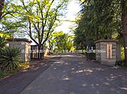 中学校 1800m 流山市立東部中学校