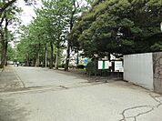 中学校 1900m 柏市立柏中学校