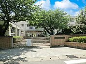 小学校 160m 松戸市立南部小学校