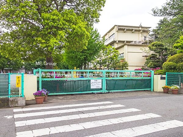 周辺を拡大表示