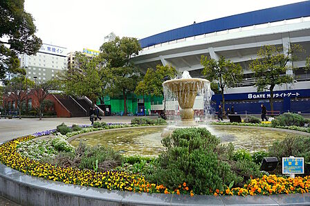 横浜公園