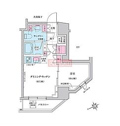 ステラメゾン三軒茶屋 1DKの間取図画像