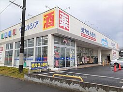 その他「ウエルシア鹿嶋平井店まで1600m」