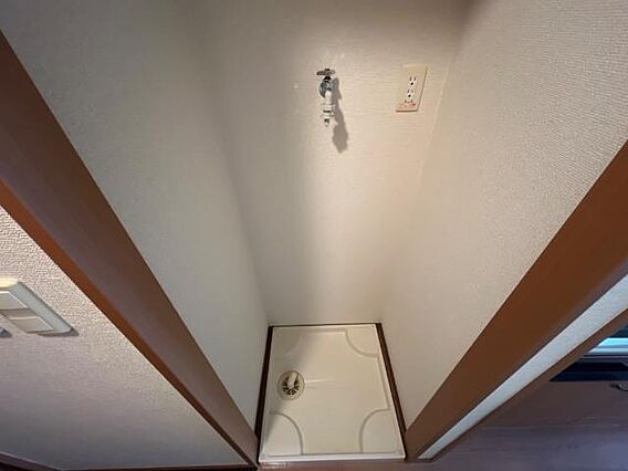 エバーグリーン_その他_1