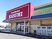 その他「カスミ　神栖店まで1100m」