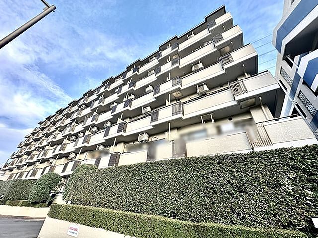 外観 セザールお花茶屋 2階/-