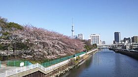 アクサス西大島ステーション 1004 ｜ 東京都江東区大島４丁目3-3（賃貸マンション1K・10階・26.54㎡） その24