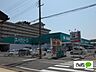 周辺：ドラッグストア 「エバグリーンプラス広瀬店まで205m」