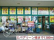 その他「エバグリーン様まで1380m」