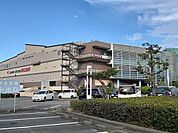 複合モール「パームシティ和歌山店様まで2700m」