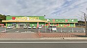 くすりのコーエイおおとう桜街道店