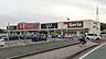 周辺：ハローデイ　柏の森店