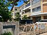周辺：大善寺小学校 880m
