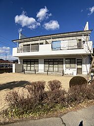 ひまわり