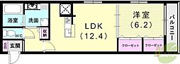 モアレオークラ 1LDKの間取図画像