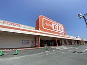ザ・ビッグ 大須賀店（1100m）